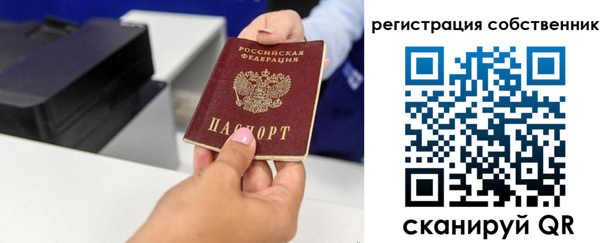 прописка для школы в Юрьев-Польском